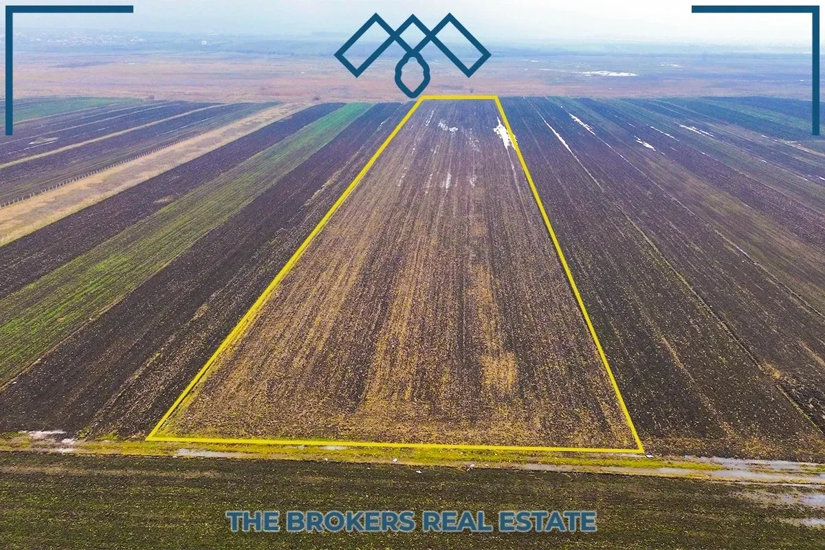 Truall në SHITJE - Suhadoll - 3 Hektarë e 30 Ari – foto 1