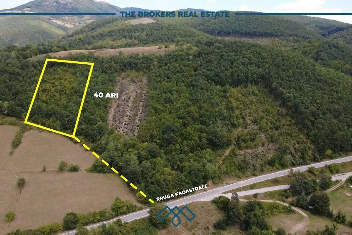 Truall në shitje 40 Ari - Keqekollë. – foto 2